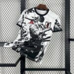Japan zoro kit