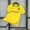 Norwich City 2025/26 Home Kit