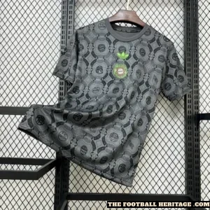 Bayern Munich Grey and Green Kit